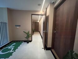 Mount Elizabeth Link (D9), Condominium #466086771